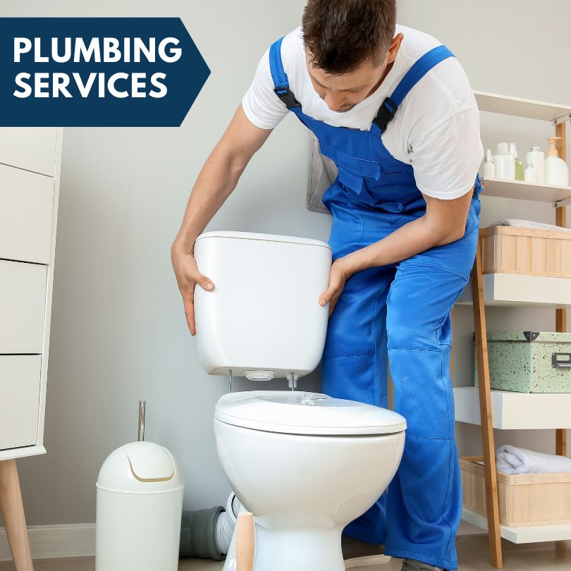 Plumbing Company in Sun City West, AZ